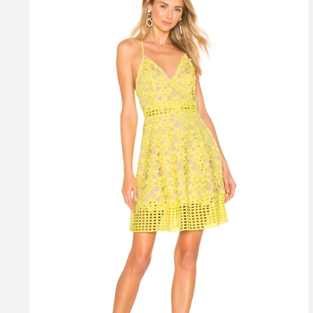 Lovers and Friends Bellini Dress